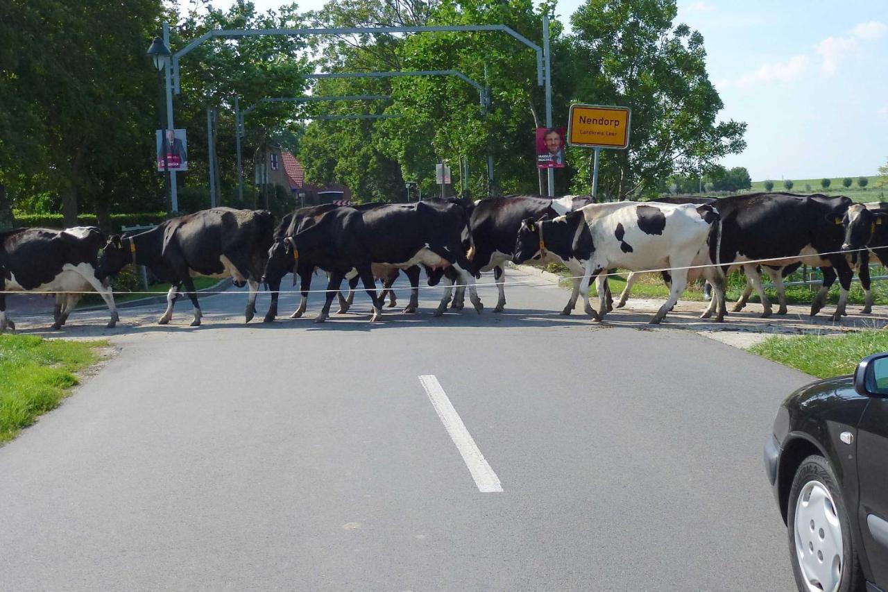 Ferienhof Van Vlyten_ 45006 Jemgum エクステリア 写真